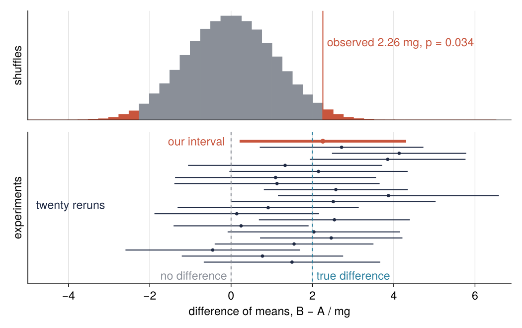Top: histogram of the difference of means B − A in mg over 100,000 random relabelings; the observed 2.26 mg, p = 0.034, cuts off the shaded tails. Bottom: 95 % intervals of our experiment and twenty reruns, against dashed lines at the true 2 mg and at zero. 17 contain 2 mg; 13 include zero.