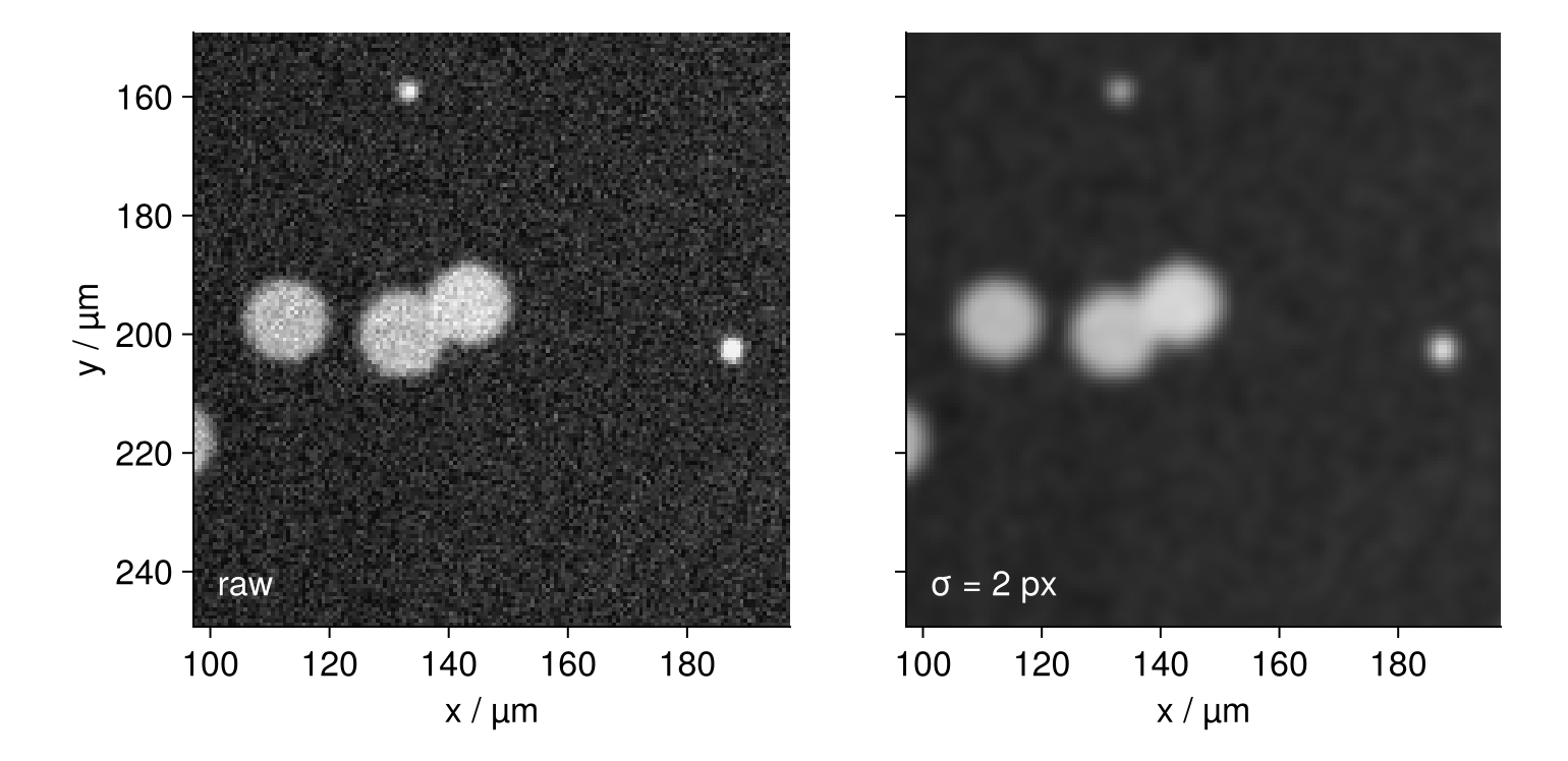The same 100 µm square of the cell culture twice, x and y in µm. Left: raw, grainy with camera noise. Right: after imfilter with a Gaussian kernel of 2 px, the noise is gone while the touching pair and the small bright specks keep their shape.