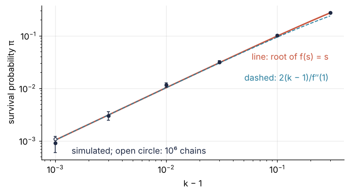 Survival probability against k − 1 from 10⁻³ to 0.3, log-log. The root of f(s) = s, the linear law 2(k − 1)/f″(1), and simulated chains with error bars agree; the law falls 13 % low at k = 1.3.