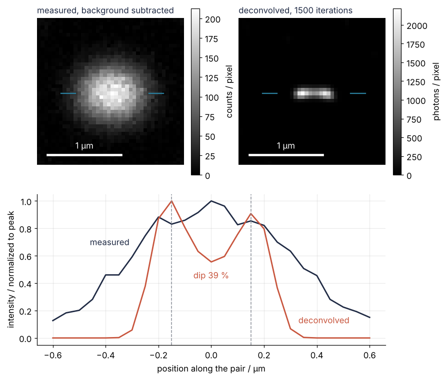 Top: the measured image, where the pair at the center is one blob, and the deconvolved image, where it is a short bar with a bright spot at each end. Bottom: intensity along the row through the pair, normalized to peak, against position in µm. The deconvolved curve has two peaks at the true bead positions, the measured one a single hump.