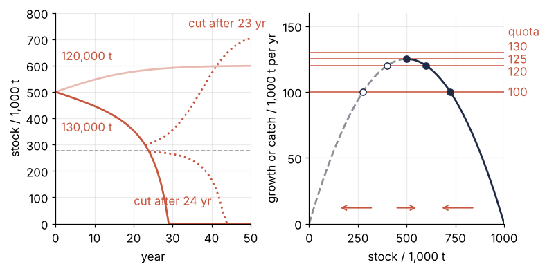 Left: stock in t against years. A quota of 120,000 t climbs to 600,000 t; 130,000 t falls to zero in year 30; cut to 100,000 t after 23 years it recovers, after 24 it dies. A dashed line marks 276,393 t. Right: growth per year against stock with quota lines at 100,000 to 130,000 t; filled dots are stable crossings, open dots unstable ones.
