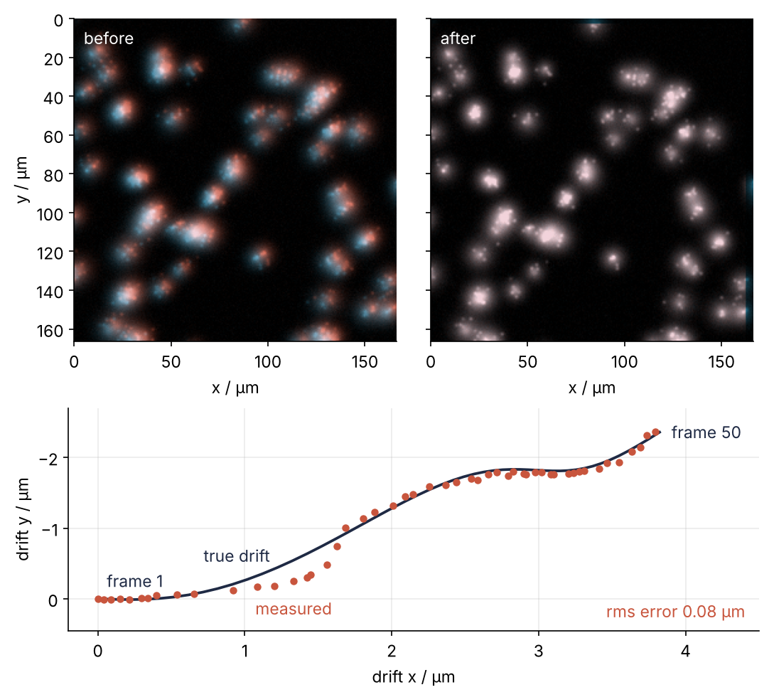 Three panels. Top: frame 1 in teal and frame 50 in red, added on black, before and after alignment; before, every cell has a teal and a red fringe, after, the cells are white. Bottom: the stage drift in µm over 50 frames, true path as a line, measured positions as dots on it.
