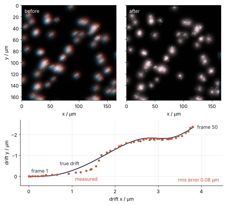 Top: frame 1 in teal and frame 50 in red, added on black, x and y in µm over the 166 µm field. Before: each cell has a teal fringe on one side and a red one on the other. After: the cells are white. Bottom: stage drift, x against y in µm with y downward; measured positions as red dots on the true path, rms error 0.08 µm.