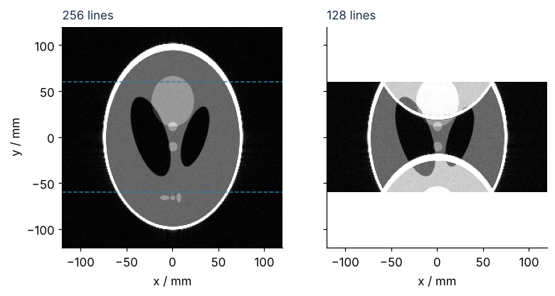 Magnitude images of a head phantom, x and y in mm. Left: all 256 k-space lines, 240 mm field of view, dashed lines at y = ±60 mm. Right: every second line, a 120 mm field of view in which the top and bottom of the skull fold into the middle.