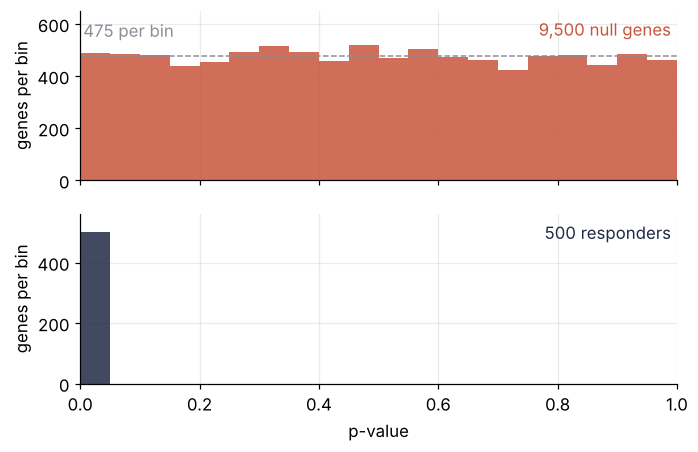 Histograms of p-values in bins of width 0.05. Top, 9,500 null genes: a flat floor at about 475 per bin, on the dashed reference line. Bottom, 500 responders: all in the first bin.