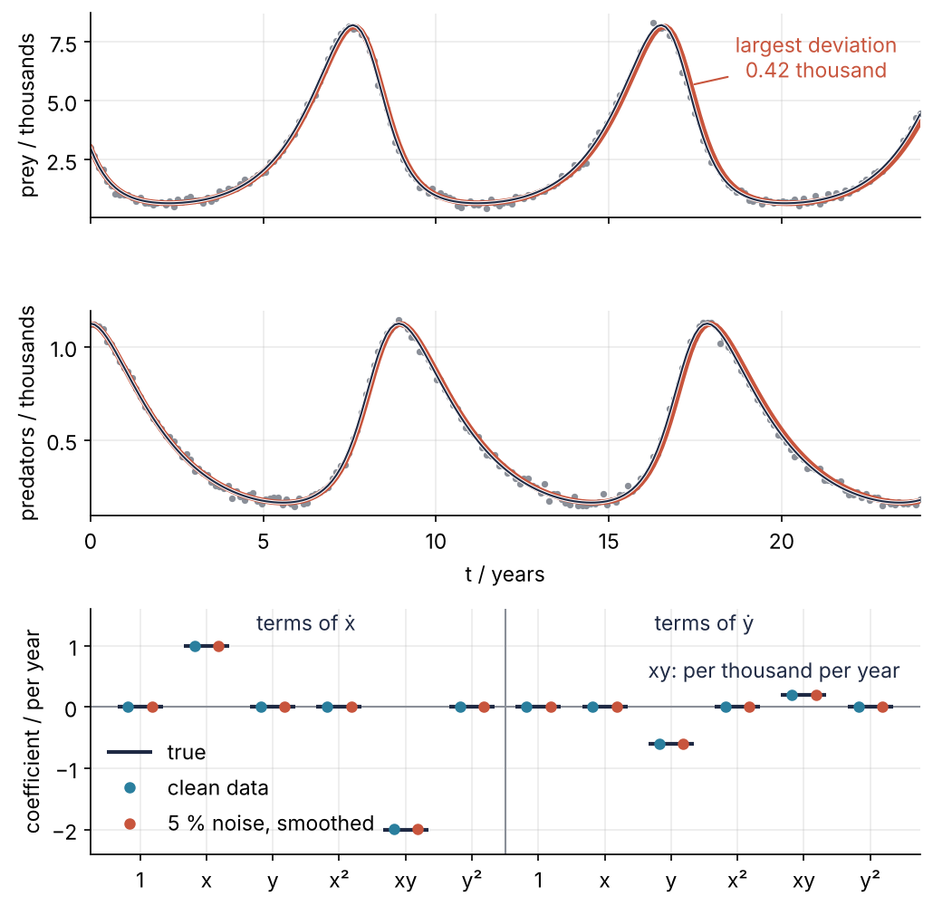 Prey and predators in thousands over 24 years: data with 5 % noise as gray dots, the clean trajectory a thin dark line, the PySINDy model red, lagging slightly after year 16, largest prey deviation 0.42 thousand. Below: the twelve coefficients, true values as bars, clean and noisy fits as dots.
