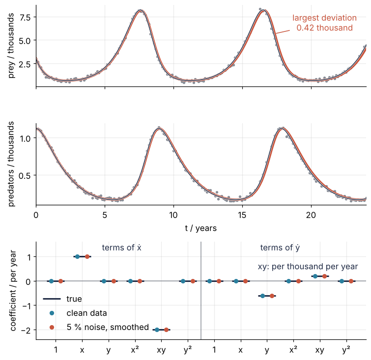Prey and predators in thousands over 24 years: data with 5 % noise as gray dots, the clean trajectory a thin dark line, the PySINDy model red, lagging slightly after year 16, largest prey deviation 0.42 thousand. Below: the twelve coefficients, true values as bars, clean and noisy fits as dots.