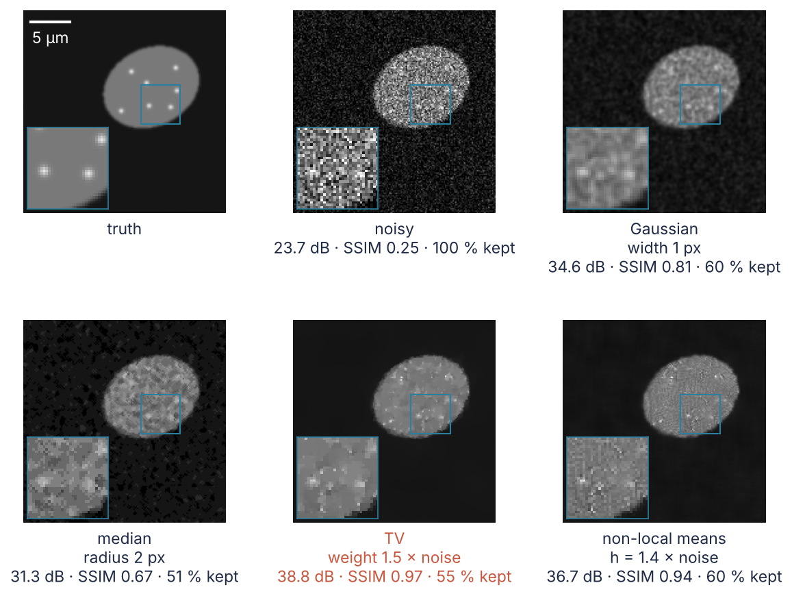 One cell, 26 µm wide, as truth, as recorded, and after Gaussian, median, total variation, and non-local means denoising, each with a zoom on three spots and its PSNR, SSIM, and share of spot contrast kept. Total variation keeps over half the spot contrast at 38.8 dB.
