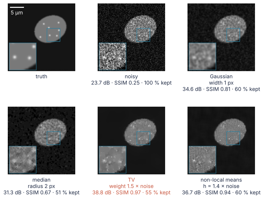 One cell, 26 µm wide, as truth, noisy image, and after Gaussian, median, TV, and non-local means denoising, each with a zoom on three spots and its PSNR, SSIM, and share of spot contrast kept. TV keeps over half the spot contrast at 38.8 dB.