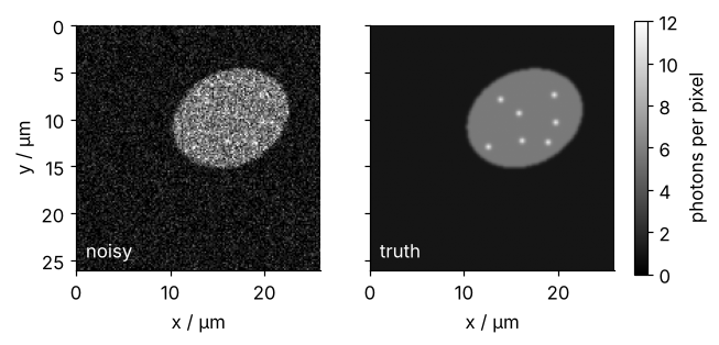 One cell in the noisy image and in the truth, side by side, 26 µm wide, x and y in µm, in photons on one gray scale. The cell is visible in both; its small bright spots show only in the truth.